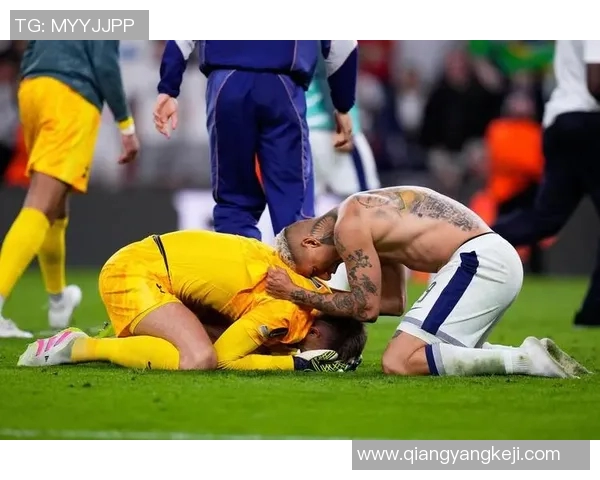 波黑与芬兰激战欧洲杯预选赛争夺出线机会的精彩对决